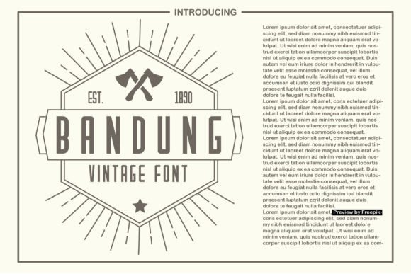 Bandung: The Vintage Display Font That Transformed My Client's Brand